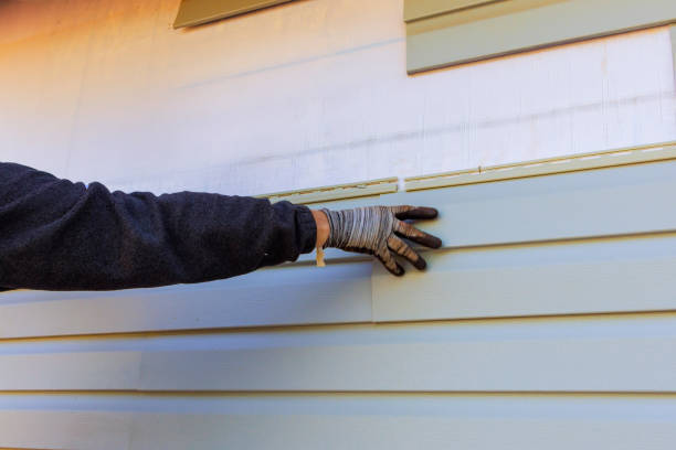 Best Siding Removal and Disposal  in Islamorada Village Of Islands, FL